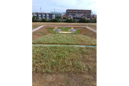 実際の高所作業車に乗って見える風景「ヌゥの地上絵」<br>