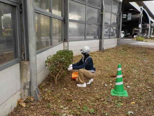 ▲いずみ高校（さいたま市）からの受入れ<br>