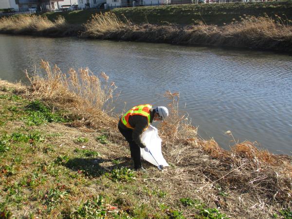 川のふちギリギリの場所も<br>
