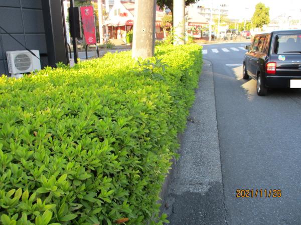 ＊すっきりとした印象に<br>